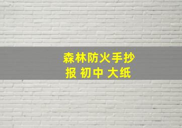 森林防火手抄报 初中 大纸